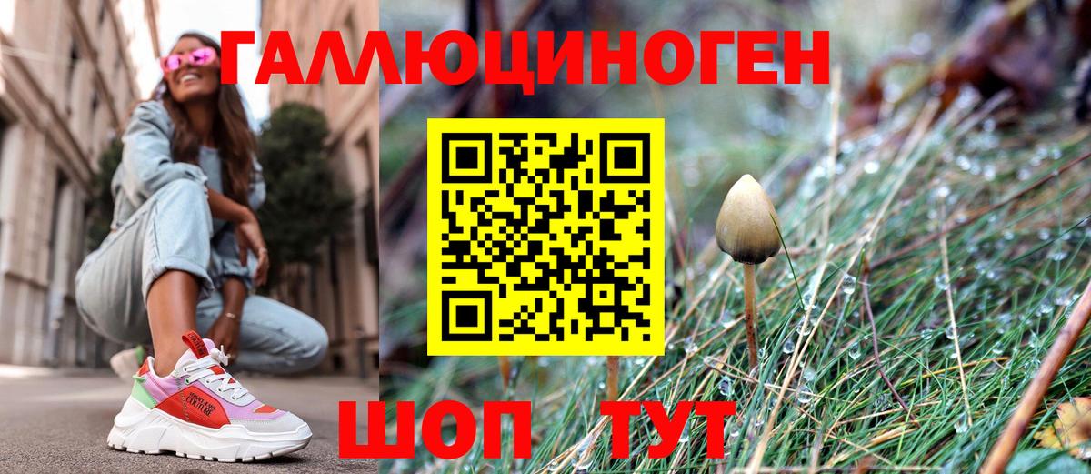 Галлюциногенные грибы Cubensis Тайшет