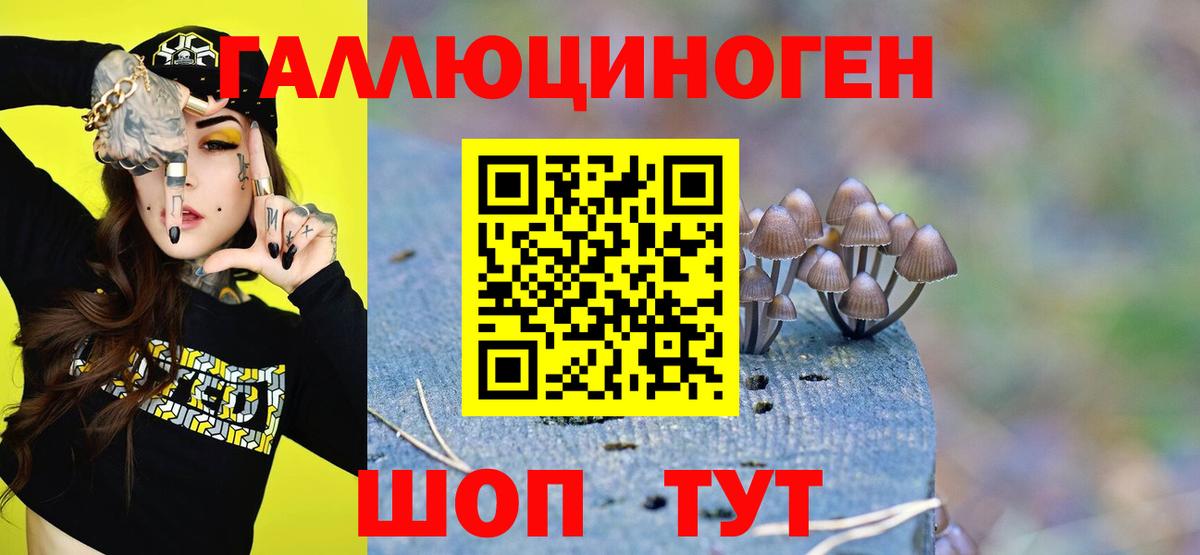 Псилоцибиновые грибы GOLDEN TEACHER  Вход с VPN  Тайшет 